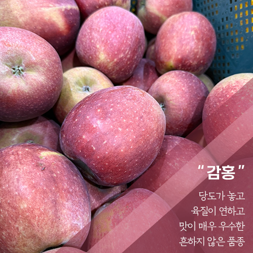 땀내기농원 홍로 10kg(22-24과)