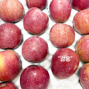 땀내기농원 홍로 10kg(22-24과)